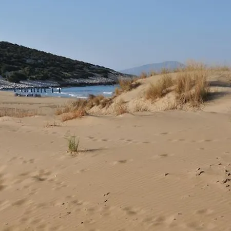 Naxian *